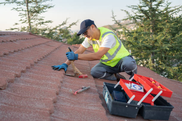 Best Metal Roofing Contractor  in Shallotte, NC